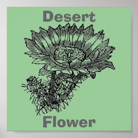 Cactus Poster (Vorne)