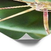 Cactus Poster (Ecke)