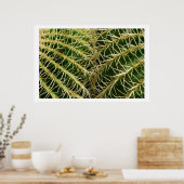 Cactus Poster (Küche)