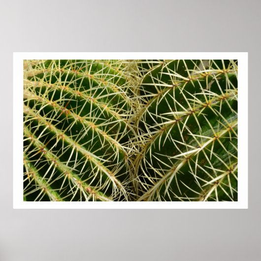 Cactus Poster (Vorne)