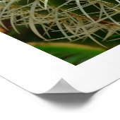 Cactus Poster (Ecke)