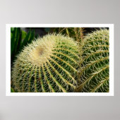 Cactus Poster (Vorne)