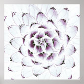 Cactus Poster/Print Poster (Vorne)