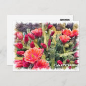 Cactus Postkarte (Vorne/Hinten)