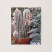 Cactus Puzzle (Vertikal)