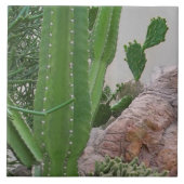 Cactus Rocks Cacti Südwestlandschaft Fliese (Vorderseite)