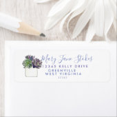 Cactus RÜCKSENDEADRESSE succuled LILA (Insitu)