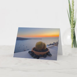 Cactus Santorini Griechenland Sunset Fotografy Karte