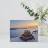 Cactus Santorini Griechenland Sunset Fotografy Postkarte (Stehend Vorderseite)