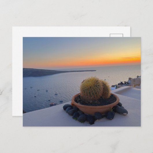 Cactus Santorini Griechenland Sunset Fotografy Postkarte (Vorne/Hinten)