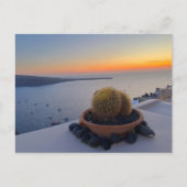 Cactus Santorini Griechenland Sunset Fotografy Postkarte (Vorderseite)