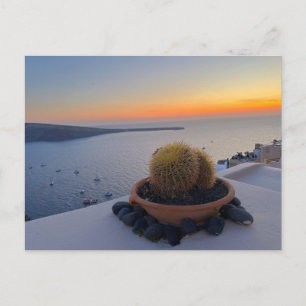 Cactus Santorini Griechenland Sunset Fotografy Postkarte
