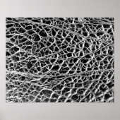 Cactus Skeleton Poster (Vorne)
