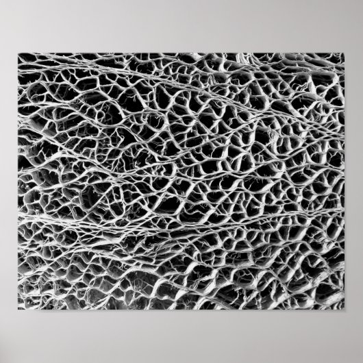 Cactus Skeleton Poster (Vorne)