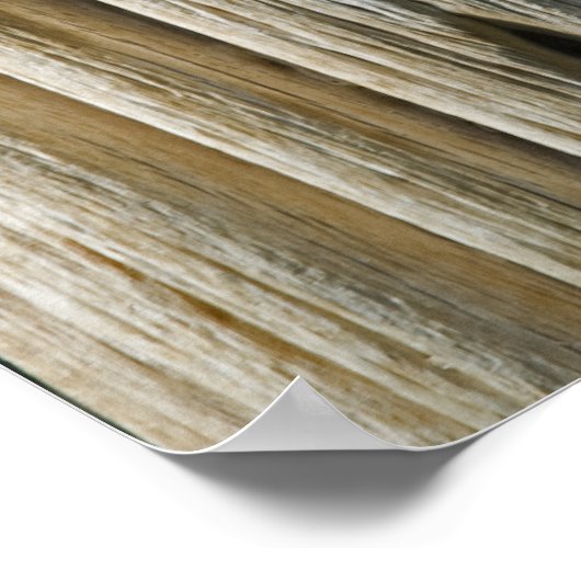 Cactus Skeleton Poster (Ecke)