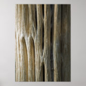 Cactus Skeleton Poster (Vorne)