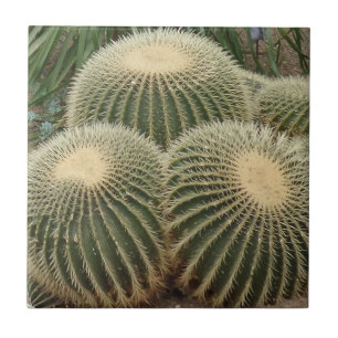 Cactus Small (4,25" x 4,25") Keramik Foto Tile Fliese