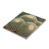 Cactus Small (4,25" x 4,25") Keramik Foto Tile Fliese (Seite)