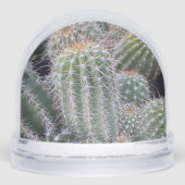 Cactus Snow Globe Schneekugeln (Vorderseite)