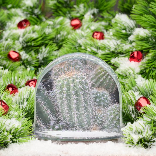 Cactus Snow Globe Schneekugeln (Weihnachten)