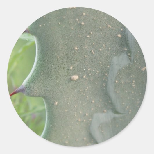Cactus Spike Stickers (Vorderseite)