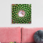 Cactus Spiral Leinwanddruck (Insitu (Wohnzimmer))