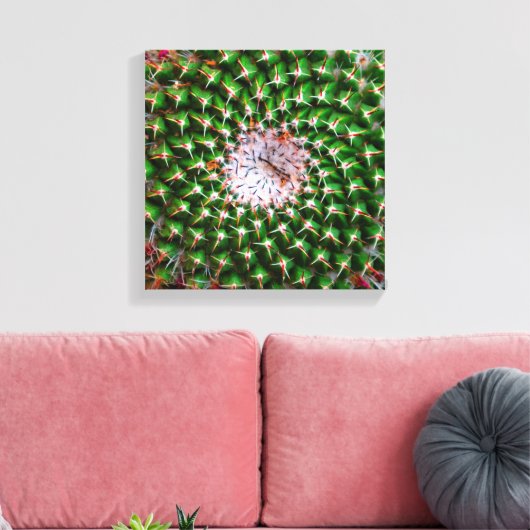 Cactus Spiral Leinwanddruck (Insitu (Wohnzimmer))