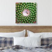Cactus Spiral Leinwanddruck (Insitu (Schlafzimmer))