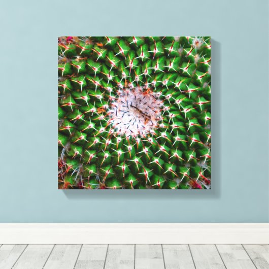 Cactus Spiral Leinwanddruck (Insitu (Holzboden))