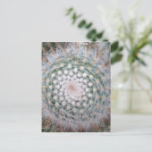 Cactus Spiral Postkarte (Stehend Vorderseite)