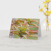 Cactus succulent Aloe Art Note Card Karte (Gelbe Blume)