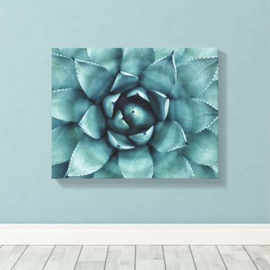 Cactus succulent Cacti Leinwand Art (Insitu (Holzboden))