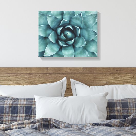 Cactus succulent Cacti Leinwand Art (Insitu (Schlafzimmer))