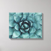 Cactus succulent Cacti Leinwand Art (Vorderseite)