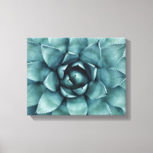 Cactus succulent Cacti Leinwand Art