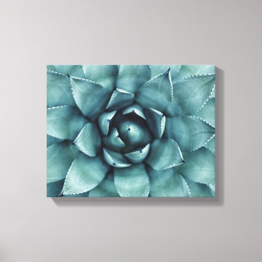 Cactus succulent Cacti Leinwand Art (Vorderseite)