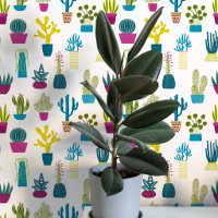 Cactus Succulent House Pflanze Art