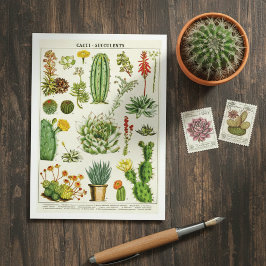 Cactus Succulents Botanical Illustration Postcard Postkarte