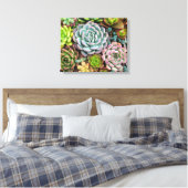 Cactus succulents canvas print leinwanddruck (Insitu (Schlafzimmer))