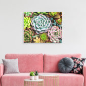 Cactus succulents canvas print leinwanddruck (Insitu (Wohnzimmer))