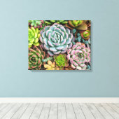 Cactus succulents canvas print leinwanddruck (Insitu (Holzboden))