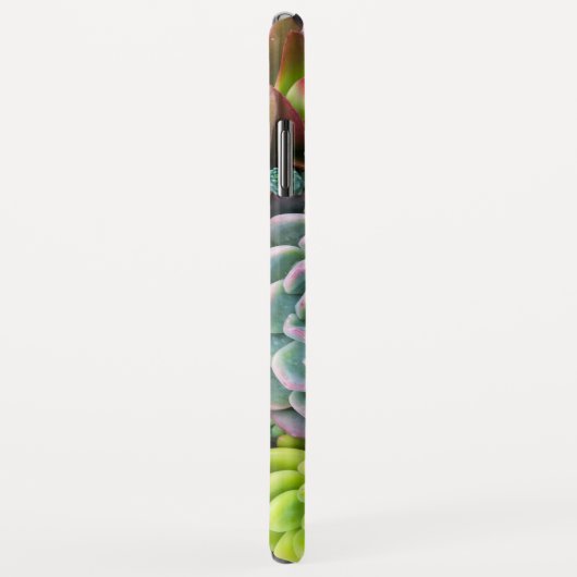 Cactus succulents - Gehäuse Case-Mate iPhone Hülle (Hinten/Rechts)