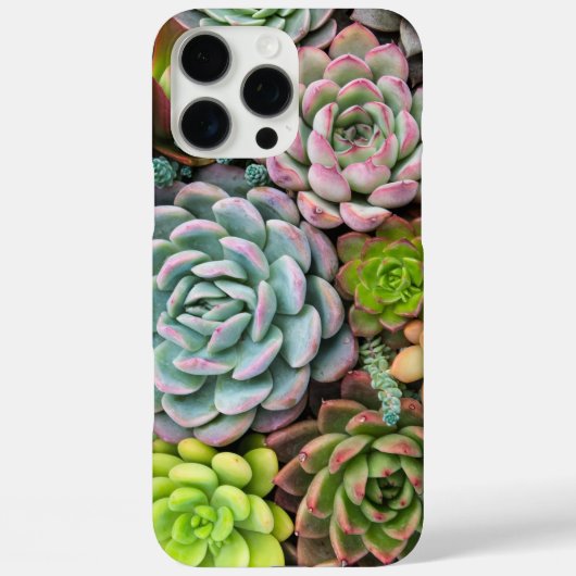 Cactus succulents - Gehäuse Case-Mate iPhone Hülle (Rückseite)
