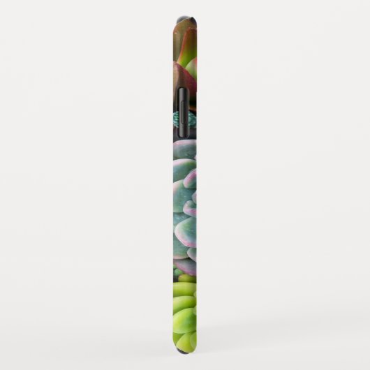 Cactus succulents - Gehäuse Case-Mate iPhone Hülle (Hinten/Rechts)