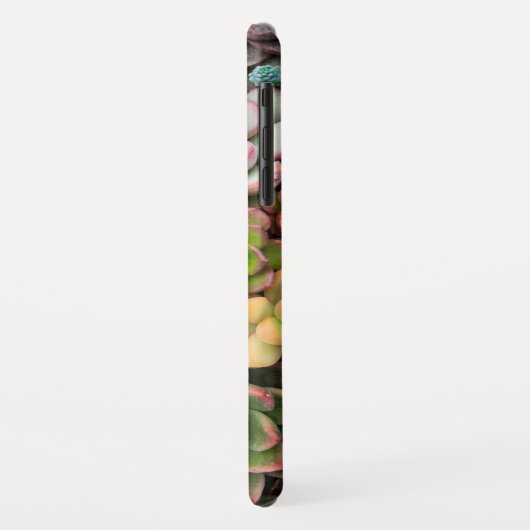 Cactus succulents - Gehäuse Case-Mate iPhone Hülle (Hinten/Links)