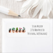 Cactus succulents in Rose Gold Pots Rücksendeadres (Insitu)