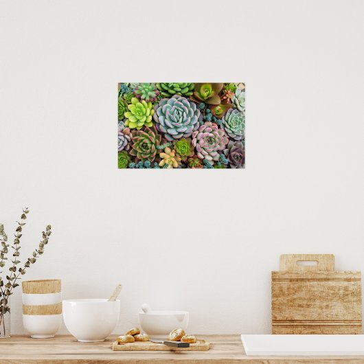 Cactus succulents poster (Küche)