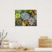 Cactus succulents poster (Küche)