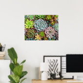 Cactus succulents poster (Heimbüro)