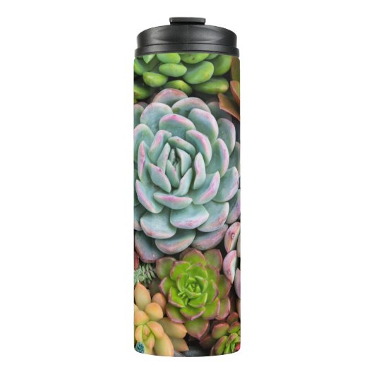 Cactus succulents tumbler thermosbecher (Vorderseite)